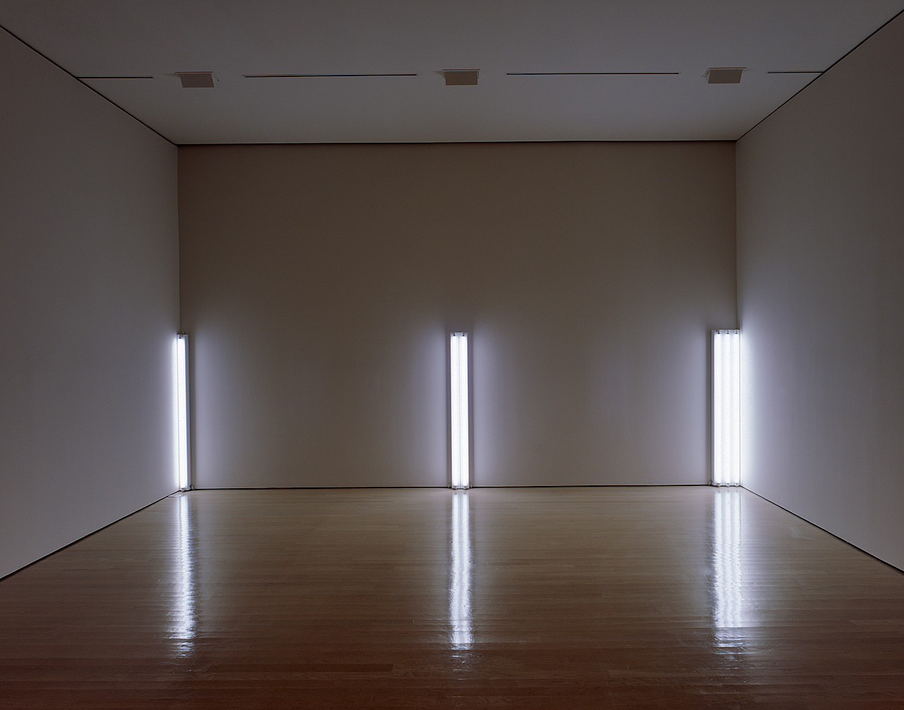 Dan Flavin
